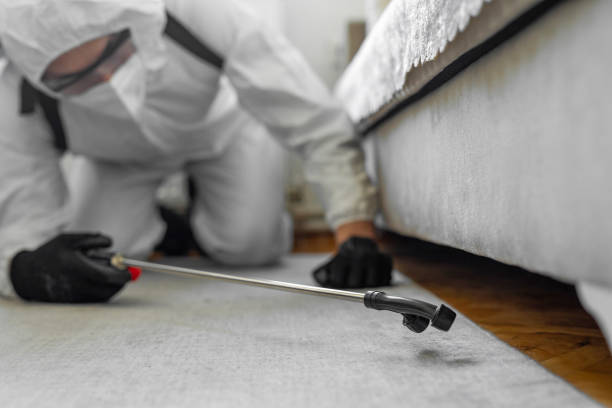 Professional Pest Control technician working in East Ithaca, NY