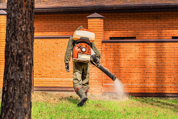 Trusted Cockroach Control service in East Ithaca, NY - Nex Pest Control